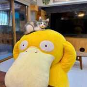 ヒメ日記 2025/08/03 15:46 投稿 ともえ奥様 人妻倶楽部　日本橋店