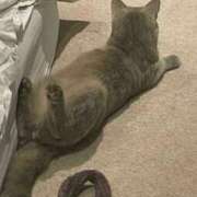 ヒメ日記 2025/08/03 16:02 投稿 ともえ奥様 人妻倶楽部　日本橋店