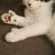 ヒメ日記 2025/08/03 16:16 投稿 ともえ奥様 人妻倶楽部　日本橋店