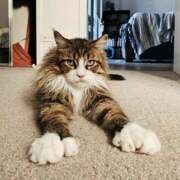 ヒメ日記 2025/08/03 18:56 投稿 ともえ奥様 人妻倶楽部　日本橋店