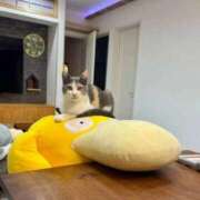 ヒメ日記 2025/09/01 15:06 投稿 ともえ奥様 人妻倶楽部　日本橋店