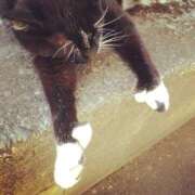 ヒメ日記 2025/09/07 15:26 投稿 ともえ奥様 人妻倶楽部　日本橋店