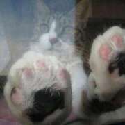 ヒメ日記 2025/09/16 17:16 投稿 ともえ奥様 人妻倶楽部　日本橋店