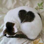 ヒメ日記 2025/09/21 18:46 投稿 ともえ奥様 人妻倶楽部　日本橋店