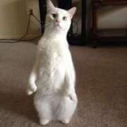 ヒメ日記 2025/09/23 20:46 投稿 ともえ奥様 人妻倶楽部　日本橋店