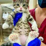 ヒメ日記 2025/09/25 17:56 投稿 ともえ奥様 人妻倶楽部　日本橋店