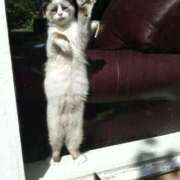 ヒメ日記 2025/10/05 16:16 投稿 ともえ奥様 人妻倶楽部　日本橋店