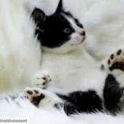 ヒメ日記 2025/10/06 20:56 投稿 ともえ奥様 人妻倶楽部　日本橋店