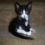 ヒメ日記 2025/10/07 12:56 投稿 ともえ奥様 人妻倶楽部　日本橋店