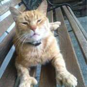 ヒメ日記 2025/10/08 19:26 投稿 ともえ奥様 人妻倶楽部　日本橋店