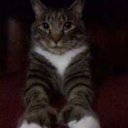 ヒメ日記 2025/10/10 18:56 投稿 ともえ奥様 人妻倶楽部　日本橋店