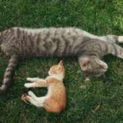 ヒメ日記 2025/10/18 19:06 投稿 ともえ奥様 人妻倶楽部　日本橋店