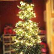 ヒメ日記 2025/12/26 15:56 投稿 ともえ奥様 人妻倶楽部　日本橋店