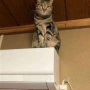 ヒメ日記 2026/01/19 17:47 投稿 ともえ奥様 人妻倶楽部　日本橋店