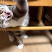 ヒメ日記 2026/02/08 20:26 投稿 ともえ奥様 人妻倶楽部　日本橋店