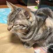 ヒメ日記 2026/03/08 15:26 投稿 ともえ奥様 人妻倶楽部　日本橋店