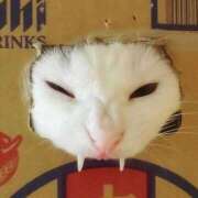 ヒメ日記 2026/03/16 14:58 投稿 ともえ奥様 人妻倶楽部　日本橋店