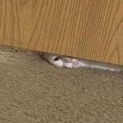 ヒメ日記 2026/03/17 15:46 投稿 ともえ奥様 人妻倶楽部　日本橋店