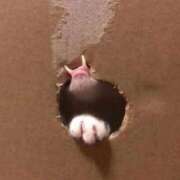 ヒメ日記 2026/03/21 18:36 投稿 ともえ奥様 人妻倶楽部　日本橋店