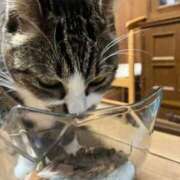 ヒメ日記 2026/03/21 19:06 投稿 ともえ奥様 人妻倶楽部　日本橋店