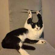 ヒメ日記 2026/04/04 17:36 投稿 ともえ奥様 人妻倶楽部　日本橋店