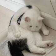 ヒメ日記 2026/04/05 15:46 投稿 ともえ奥様 人妻倶楽部　日本橋店