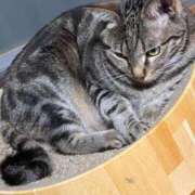 ヒメ日記 2026/04/07 15:38 投稿 ともえ奥様 人妻倶楽部　日本橋店