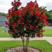 ヒメ日記 2026/04/07 18:46 投稿 ともえ奥様 人妻倶楽部　日本橋店