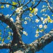 ヒメ日記 2026/04/14 15:38 投稿 ともえ奥様 人妻倶楽部　日本橋店