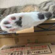 ともえ奥様 *お礼の日記です* 人妻倶楽部　日本橋店