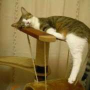 ともえ奥様 *4月19日の、こんばんは♪* 人妻倶楽部　日本橋店