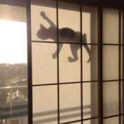 ともえ奥様 *4月20日の。こんにちは☆* 人妻倶楽部　日本橋店