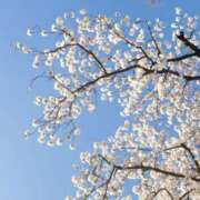 ヒメ日記 2025/04/03 16:46 投稿 はな奥様 人妻倶楽部　日本橋店