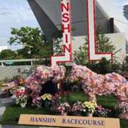 ヒメ日記 2025/04/26 22:26 投稿 はな奥様 人妻倶楽部　日本橋店