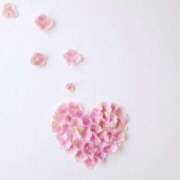 ヒメ日記 2025/06/16 16:56 投稿 はな奥様 人妻倶楽部　日本橋店