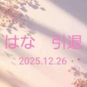 ヒメ日記 2025/11/14 07:06 投稿 はな奥様 人妻倶楽部　日本橋店