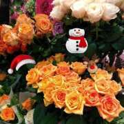 ヒメ日記 2024/12/19 21:46 投稿 りん奥様 人妻倶楽部　日本橋店