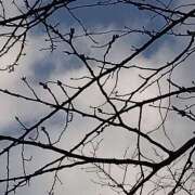 ヒメ日記 2025/02/09 22:01 投稿 りん奥様 人妻倶楽部　日本橋店