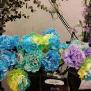 ヒメ日記 2025/02/20 22:06 投稿 りん奥様 人妻倶楽部　日本橋店