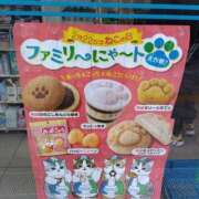 ヒメ日記 2025/02/21 22:16 投稿 りん奥様 人妻倶楽部　日本橋店