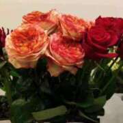 ヒメ日記 2025/03/08 21:56 投稿 りん奥様 人妻倶楽部　日本橋店