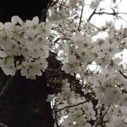 ヒメ日記 2025/03/30 21:46 投稿 りん奥様 人妻倶楽部　日本橋店