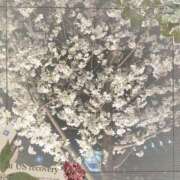 ヒメ日記 2025/04/01 21:56 投稿 りん奥様 人妻倶楽部　日本橋店