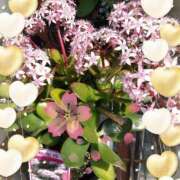 ヒメ日記 2025/04/12 21:56 投稿 りん奥様 人妻倶楽部　日本橋店