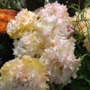 ヒメ日記 2025/05/01 21:56 投稿 りん奥様 人妻倶楽部　日本橋店