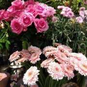 ヒメ日記 2025/05/07 21:56 投稿 りん奥様 人妻倶楽部　日本橋店