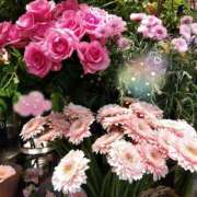 ヒメ日記 2025/05/28 21:56 投稿 りん奥様 人妻倶楽部　日本橋店