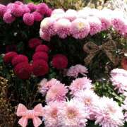 ヒメ日記 2025/07/05 21:56 投稿 りん奥様 人妻倶楽部　日本橋店