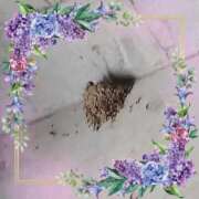 ヒメ日記 2025/07/08 21:56 投稿 りん奥様 人妻倶楽部　日本橋店