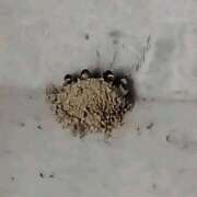 ヒメ日記 2025/07/16 21:36 投稿 りん奥様 人妻倶楽部　日本橋店